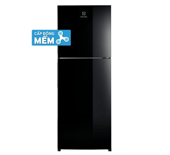 Tủ lạnh Electrolux ETB2502J-H Inverter 225L